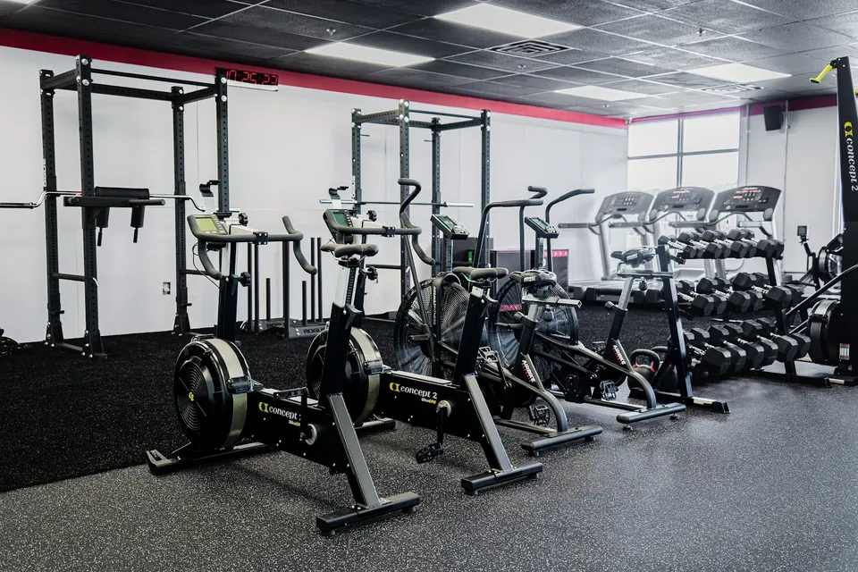 Rogue power rack, Assault bikes and dumbbells